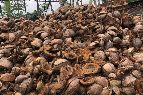 Coconut Husk Products: Understanding the Difference Between Coconut Coir and Coconut Fiber